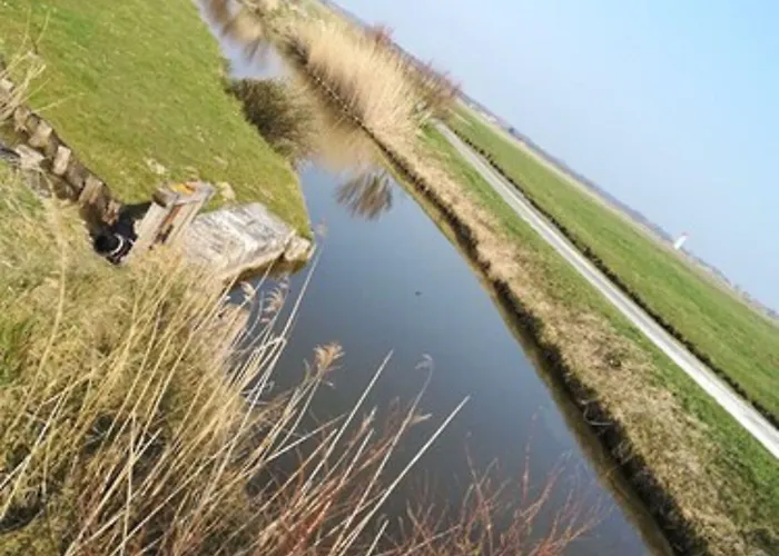 Les Marmottes Charentaises Bed and breakfast